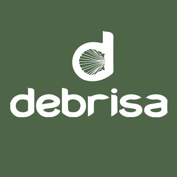 Debrisa